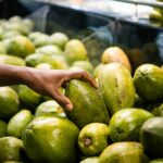 Revue de presse : Systèmes agroalimentaires et durabilité
