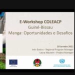 Programme WACOMP-GB en Guinée-Bissau : Atelier en ligne sur la mangue
