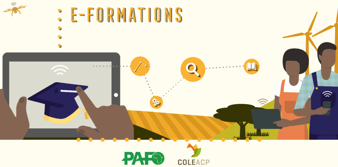 Formation en ligne PAFO-COLEACP de quatre semaines en avril – protection des cultures et l'usage sécurisé des pesticides