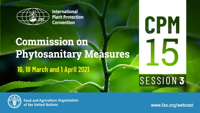 15ème session de la Commission des mesures phytosanitaires en mars/avril