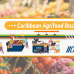 Série sur les entreprises agroalimentaires des Caraïbes par IICA-COLEACP