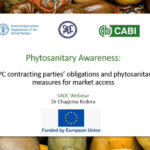 Resource for NPPOs: Phytosanitary awareness and R-SAT
