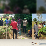 Sénégal : Formation à la production de compost à partir des déchets de la filière mangue