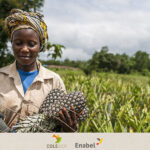 Atelier de lancement du projet « Appui à la transition agroécologique de la filière ananas au Bénin »