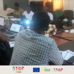 Togo: Workshop on analysis of survey data and hazards to inform the Good Practice Guide for leafy vegetables
