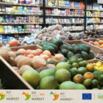 Une nouvelle étude de marché analyse les tendances et le potentiel de l'horticulture des pays ACP-Caraïbes