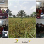 Projet d’appui à la transition agroécologique/DEFIA : Première étape de formation de formateurs dans la filière ananas au Bénin