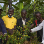 Appui technique du programme Fit For Market pour la certification du système HACCP de l’entreprise Spices Rwanda Ltd.