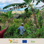 Madagascar : Appui à la mise en place d'itinéraires techniques pour la banane  et le fruit de la passion bio