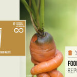 COLEACP soutient les entrepreneurs qui s'engagent à réduire les pertes et gaspillages alimentaires en développant des solutions innovantes