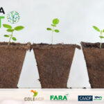 DeSIRA-LIFT programme: COLEACP involved in Africa Climate-Smart Agriculture