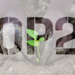 COP 27: our future is in the hands of the agricultural and food industry