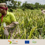 Bénin: Formation à la mise en place d'un service commercial via les outils « COQUA » de la FAO