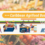 Session Business IICA-COLEAD sur l'agroalimentaire dans les Caraïbes n°8