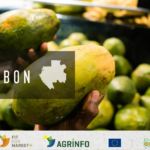 GABON : présentation du COLEAD et de ses programmes FFM+ et AGRINFO aux parties prenantes gabonaises