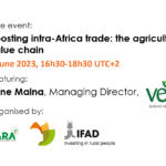 Boosting intra-African trade with Vert Ltd: FFM+ in action at AASW8 side event
