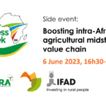 Boosting intra-Africa trade: the agricultural midstream in the value chain – FFM+ in action at AASW8 side events