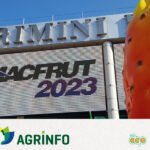 Participer aux salons internationaux agroalimentaires pour faciliter l'accès au marché et favoriser la mise en réseau